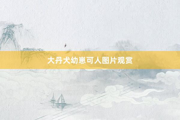 大丹犬幼崽可人图片观赏