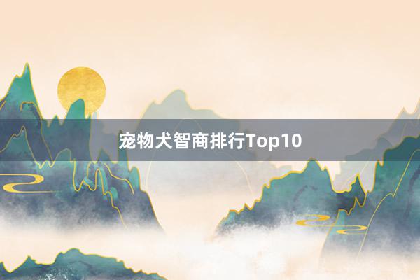 宠物犬智商排行Top10