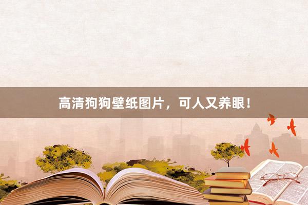 高清狗狗壁纸图片,可人又养眼!